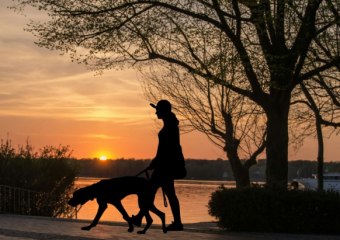 walking a dog at sunset